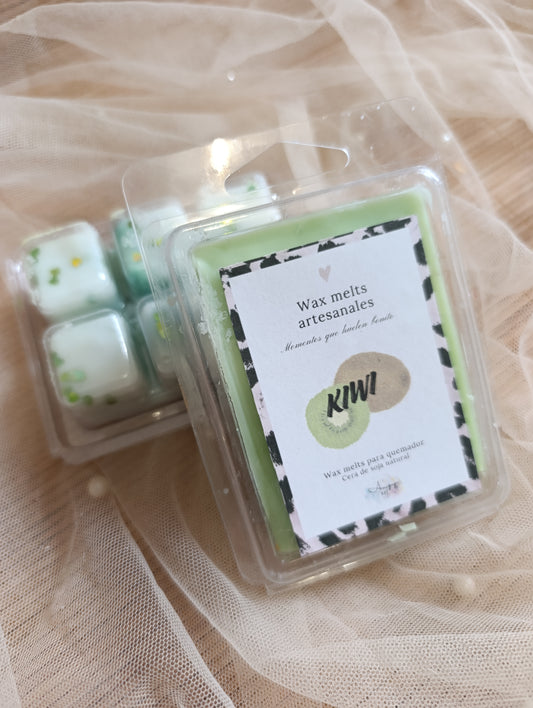 Wax melts diferentes aromas