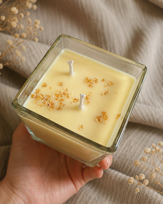 Velas citronela
