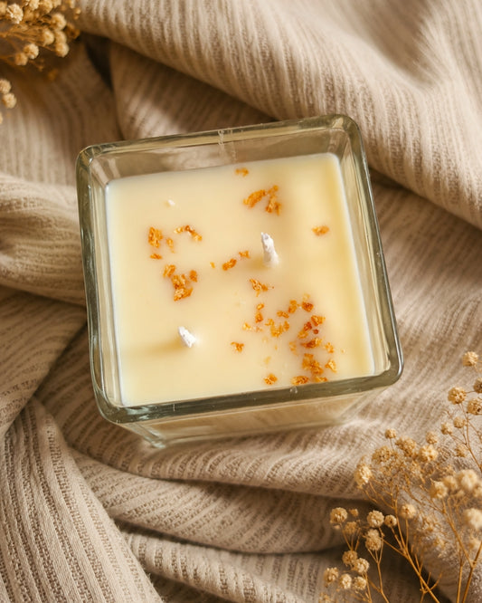Velas citronela